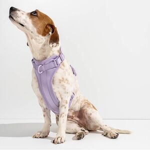 Wild One Dog Harness in Lilac